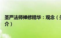 圣严法师禅修精华：观念（关于圣严法师禅修精华：观念简介）