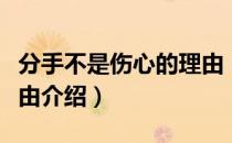 分手不是伤心的理由（关于分手不是伤心的理由介绍）