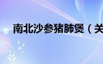 南北沙参猪肺煲（关于南北沙参猪肺煲）
