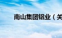 南山集团铝业（关于南山集团铝业）