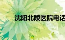 沈阳北陵医院电话（沈阳北陵医院）