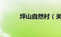坪山自然村（关于坪山自然村）