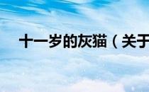 十一岁的灰猫（关于十一岁的灰猫简介）