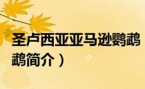 圣卢西亚亚马逊鹦鹉（关于圣卢西亚亚马逊鹦鹉简介）