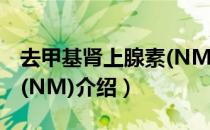 去甲基肾上腺素(NM)（关于去甲基肾上腺素(NM)介绍）
