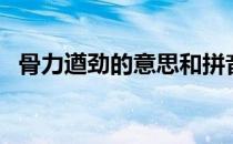 骨力遒劲的意思和拼音（骨力遒劲的意思）