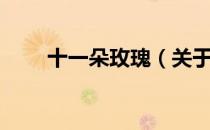十一朵玫瑰（关于十一朵玫瑰简介）