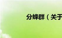 分蜂群（关于分蜂群介绍）