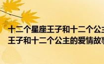 十二个星座王子和十二个公主的爱情故事（关于十二个星座王子和十二个公主的爱情故事简介）