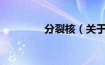 分裂核（关于分裂核介绍）