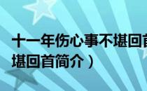 十一年伤心事不堪回首（关于十一年伤心事不堪回首简介）