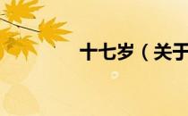 十七岁（关于十七岁简介）