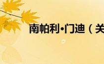 南帕利·门迪（关于南帕利·门迪）