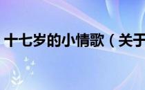 十七岁的小情歌（关于十七岁的小情歌简介）