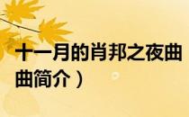 十一月的肖邦之夜曲（关于十一月的肖邦之夜曲简介）