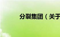 分裂集团（关于分裂集团介绍）