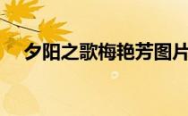 夕阳之歌梅艳芳图片（夕阳之歌梅艳芳）