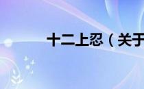 十二上忍（关于十二上忍简介）