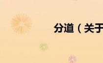 分道（关于分道介绍）
