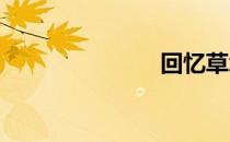 回忆草怎么样