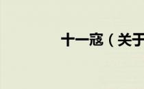 十一寇（关于十一寇简介）