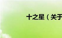 十之星（关于十之星简介）