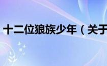 十二位狼族少年（关于十二位狼族少年简介）