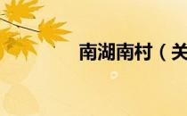 南湖南村（关于南湖南村）