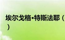 埃尔戈格·特斯法耶（关于埃尔戈格·特斯法耶）