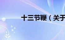 十三节鞭（关于十三节鞭简介）