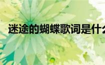 迷途的蝴蝶歌词是什么意思（迷途的蝴蝶）