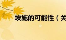 埃施的可能性（关于埃施的可能性）