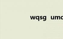 wqsg  umd足球俱乐部