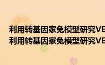 利用转基因家兔模型研究VEGF在肾小球病变中作用（关于利用转基因家兔模型研究VEGF在肾小球病变中作用）