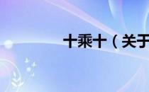 十乘十（关于十乘十简介）