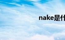 nake是什么意思？