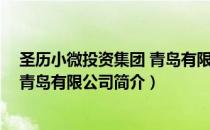 圣历小微投资集团 青岛有限公司（关于圣历小微投资集团 青岛有限公司简介）