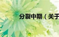 分裂中期（关于分裂中期介绍）