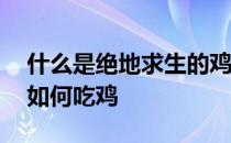 什么是绝地求生的鸡——绝地求生专业人员如何吃鸡 