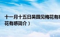 十一月十五日吴园见梅花有感（关于十一月十五日吴园见梅花有感简介）