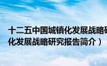 十二五中国城镇化发展战略研究报告（关于十二五中国城镇化发展战略研究报告简介）
