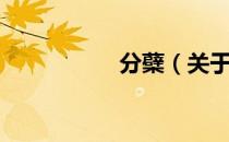 分蘗（关于分蘗介绍）