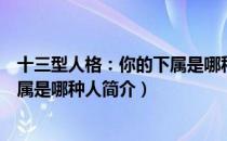 十三型人格：你的下属是哪种人（关于十三型人格：你的下属是哪种人简介）