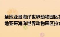 圣地亚哥海洋世界动物园区拉金塔旅馆及套房酒店（关于圣地亚哥海洋世界动物园区拉金塔旅馆及套房酒店简介）