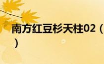 南方红豆杉天柱02（关于南方红豆杉天柱02）