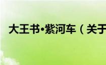 大王书·紫河车（关于大王书·紫河车简介）