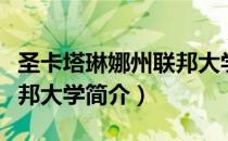 圣卡塔琳娜州联邦大学（关于圣卡塔琳娜州联邦大学简介）