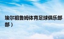 埃尔祖鲁姆体育足球俱乐部（关于埃尔祖鲁姆体育足球俱乐部）