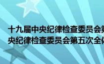 十九届中央纪律检查委员会第五次全体会议（关于十九届中央纪律检查委员会第五次全体会议简介）