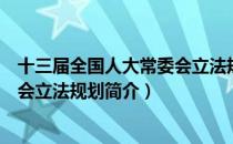十三届全国人大常委会立法规划（关于十三届全国人大常委会立法规划简介）